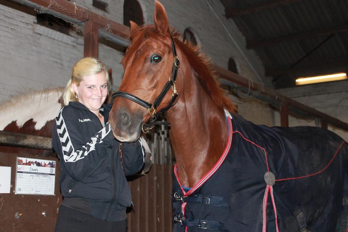 Laksen på Ladelund Efterskole/"Rideskole"  billede 1