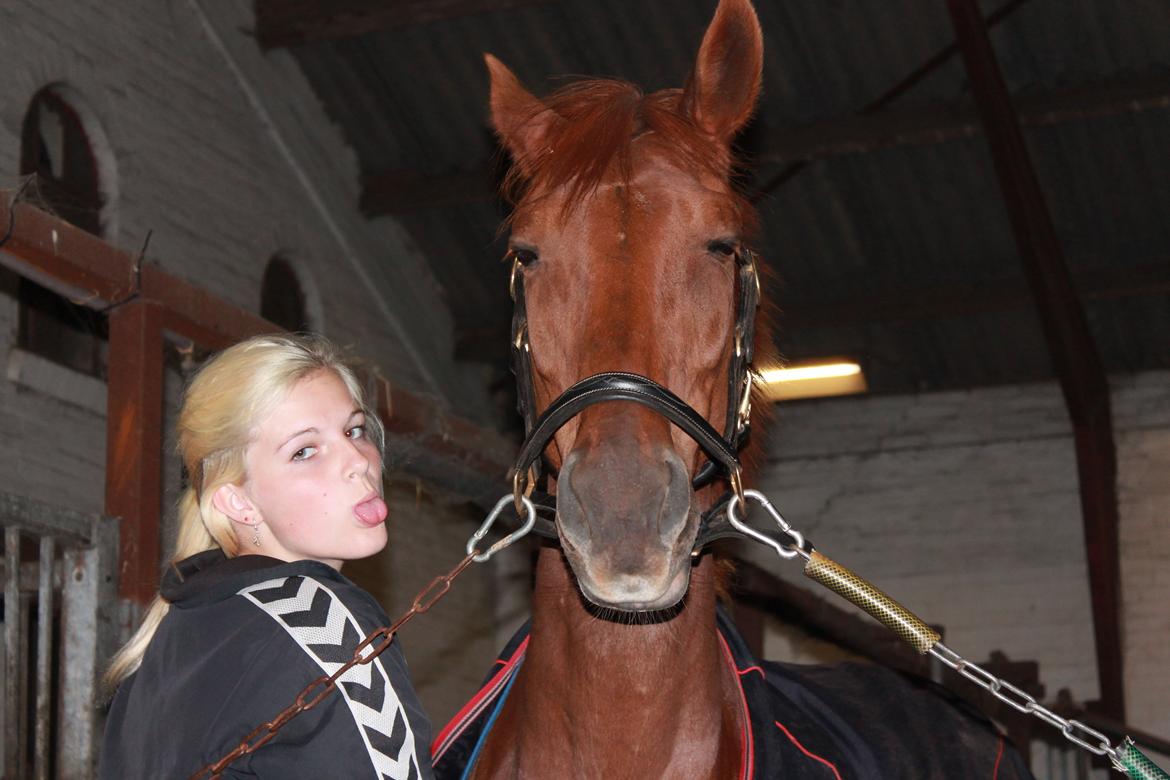 Laksen på Ladelund Efterskole/"Rideskole"  billede 2