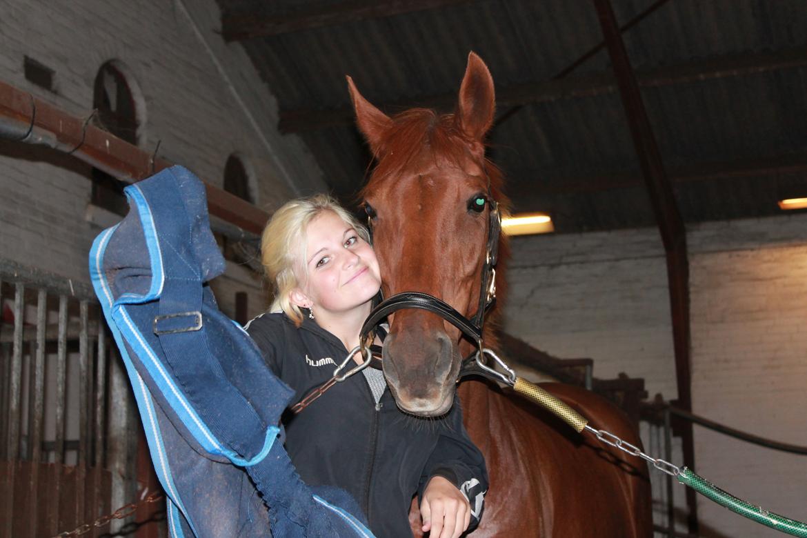 Laksen på Ladelund Efterskole/"Rideskole"  billede 3