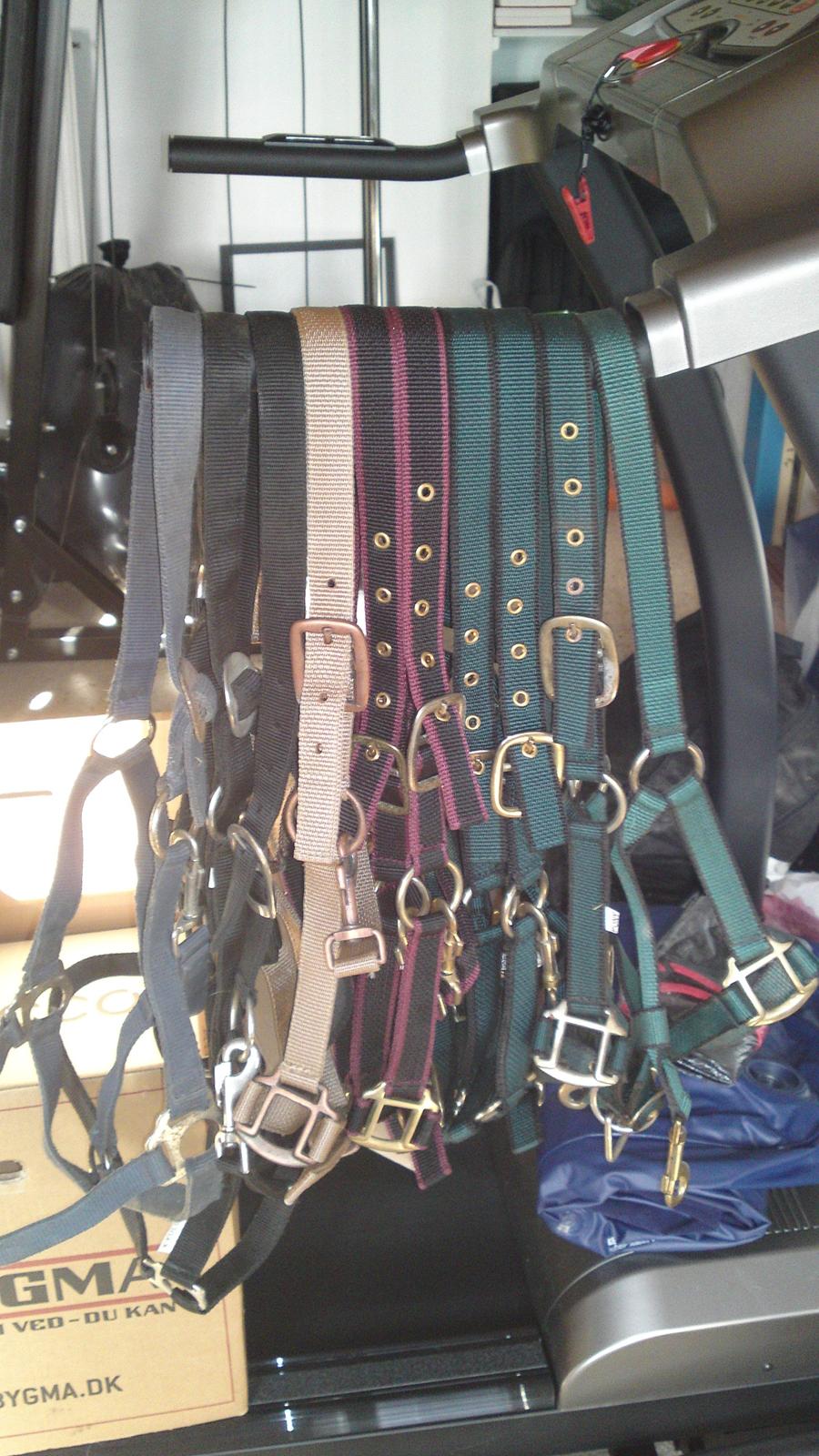 Udstyr til salg - grimmer i str pony/cob

de sorte er full og x full billede 6