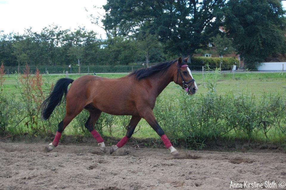 Løbe Billeder :-) billede 1