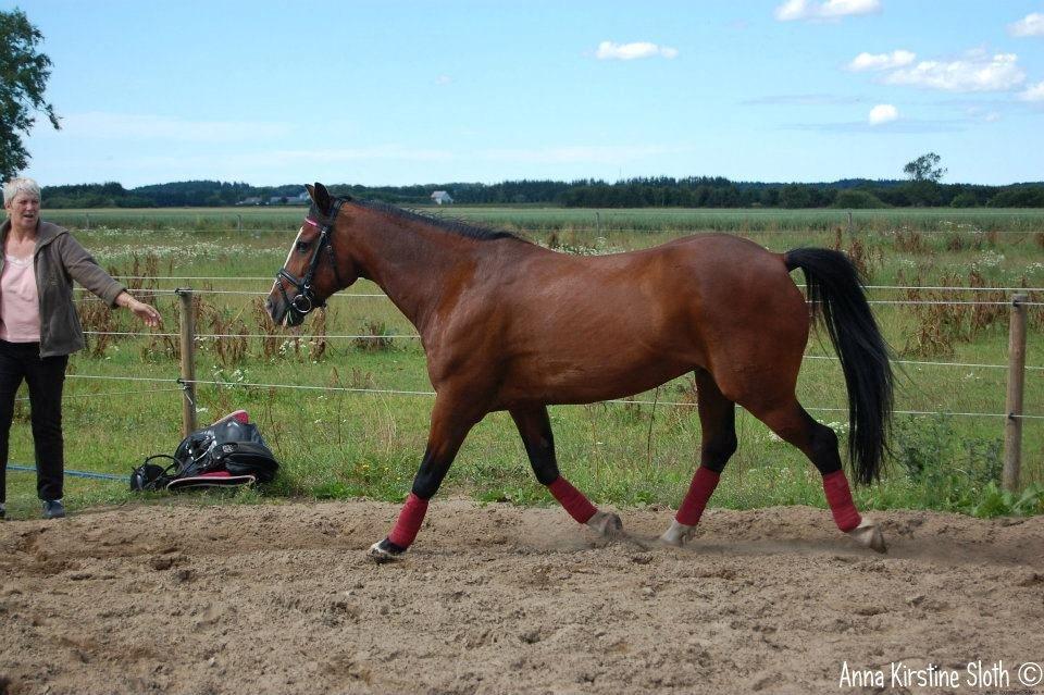 Løbe Billeder :-) billede 3