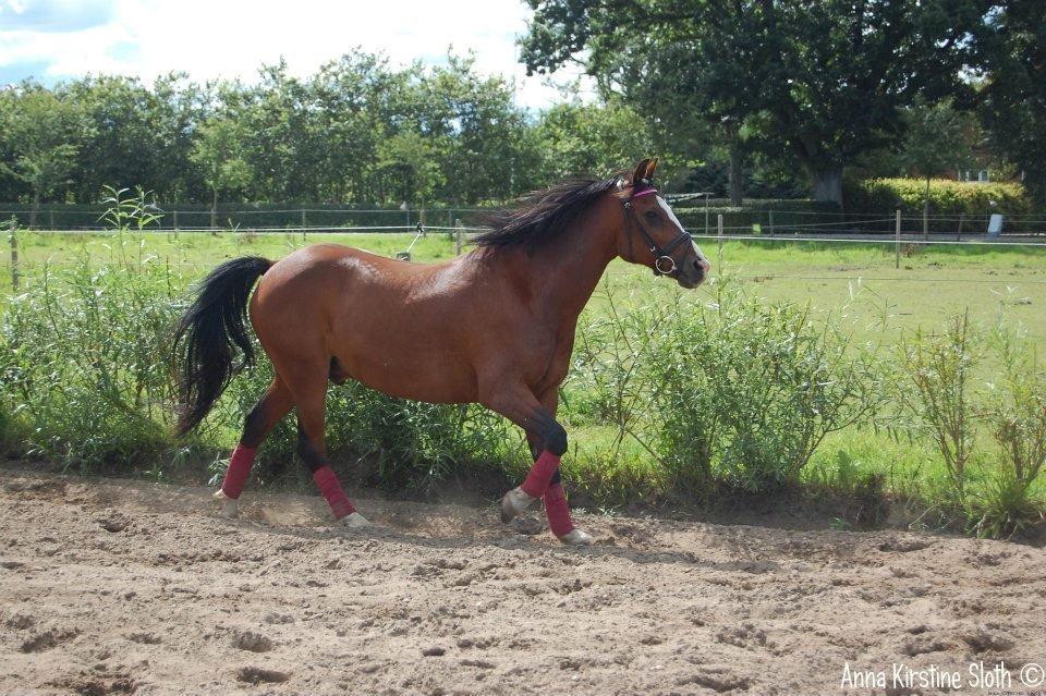 Løbe Billeder :-) billede 4