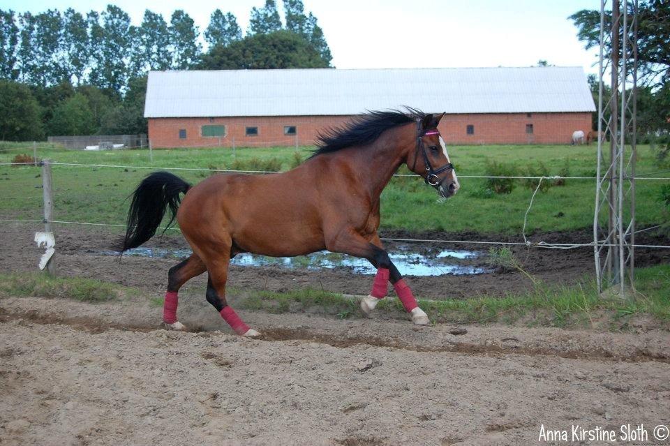 Løbe Billeder :-) billede 6