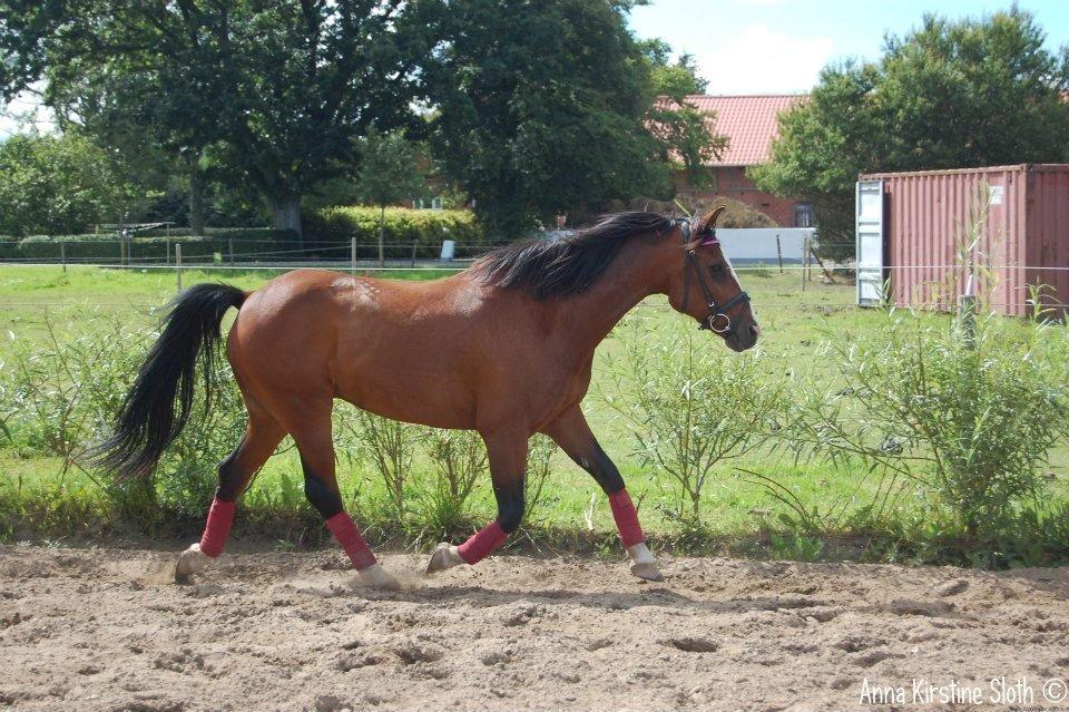 Løbe Billeder :-) billede 7