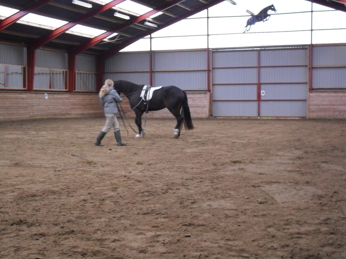 Første gang for køreliner <3 billede 5