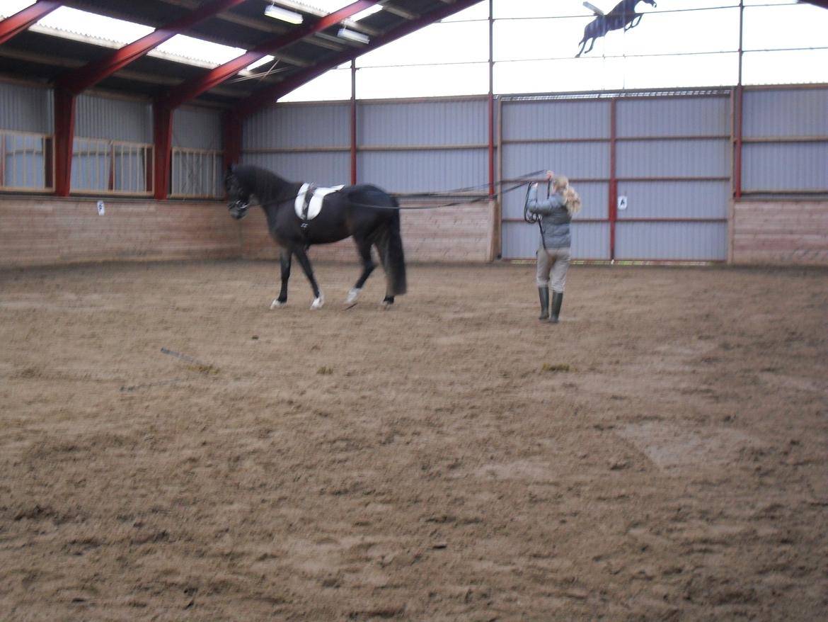 Første gang for køreliner <3 billede 6