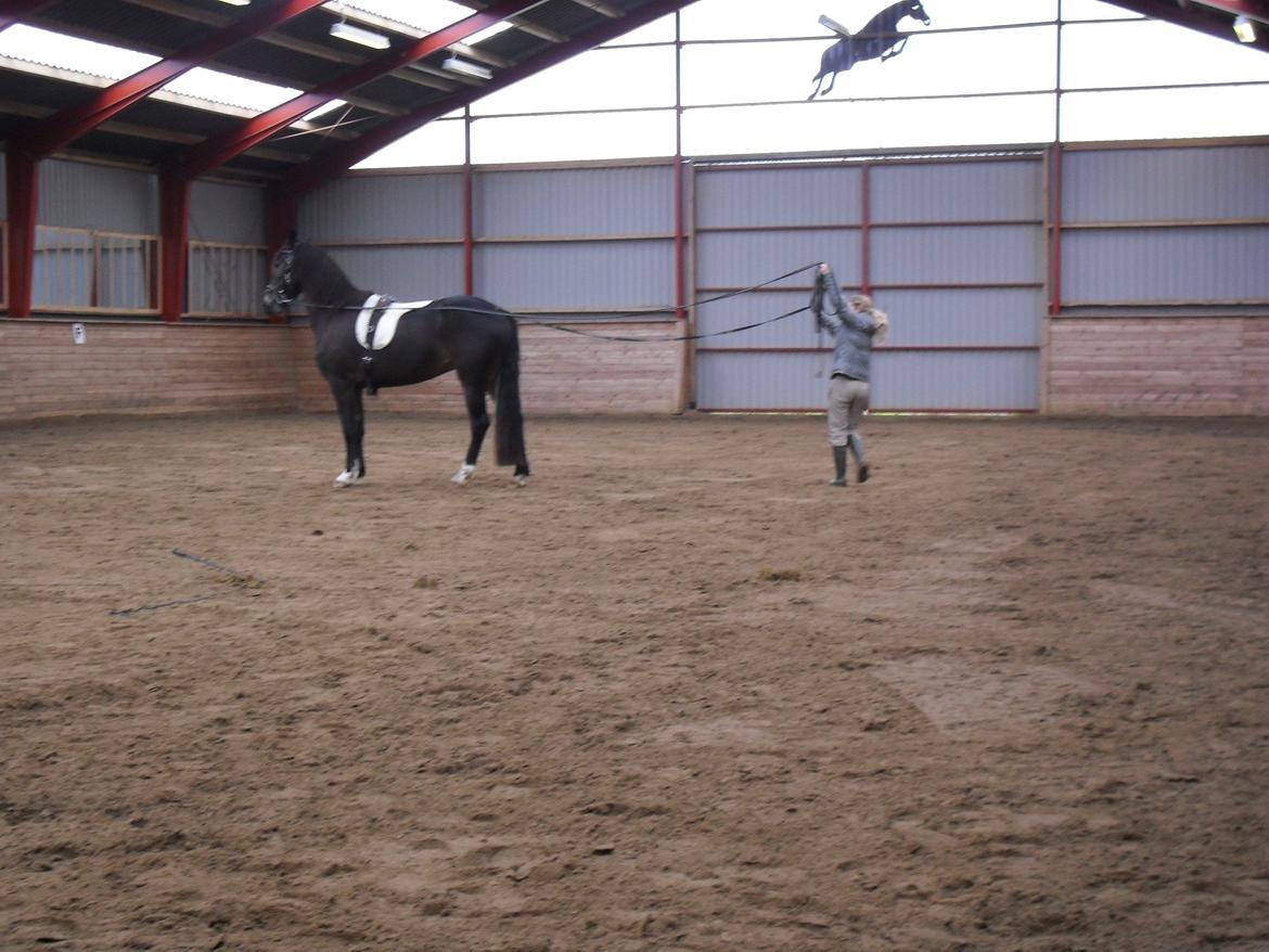 Første gang for køreliner <3 billede 7