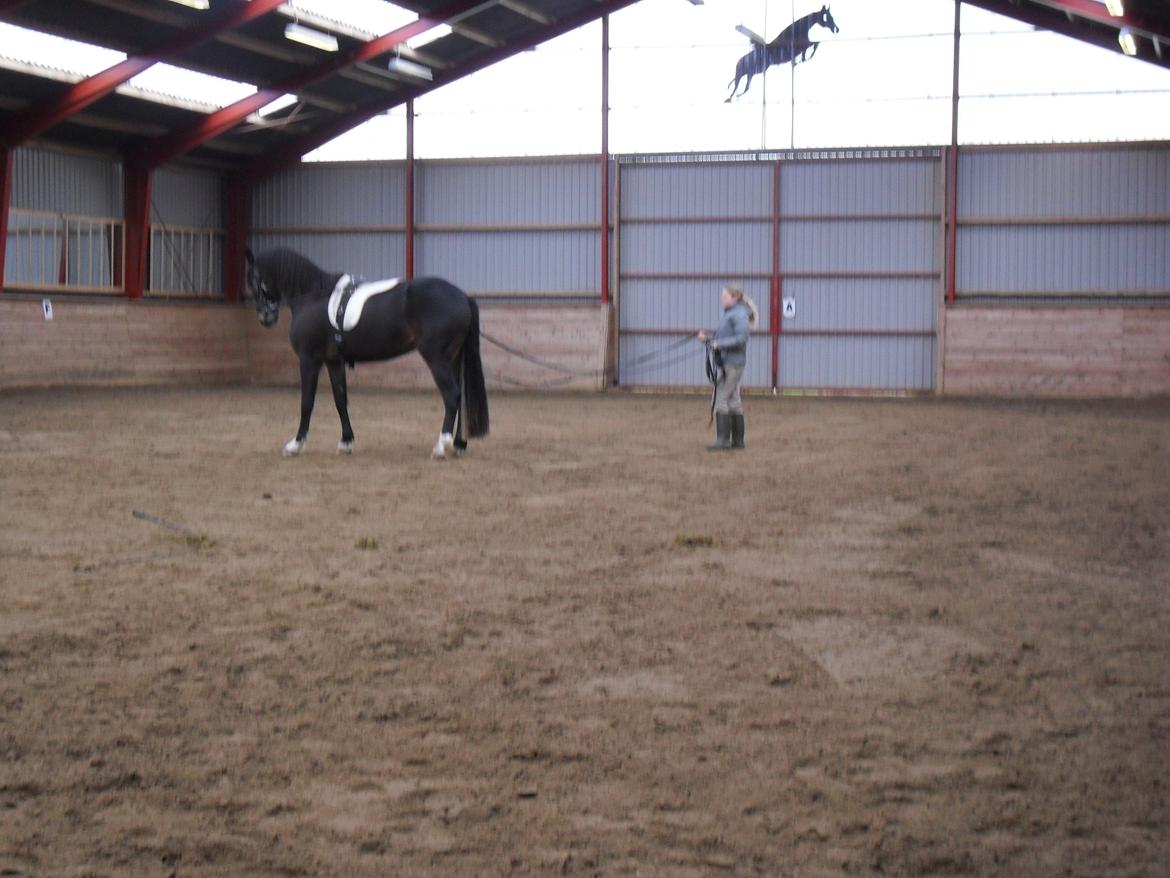 Første gang for køreliner <3 billede 8