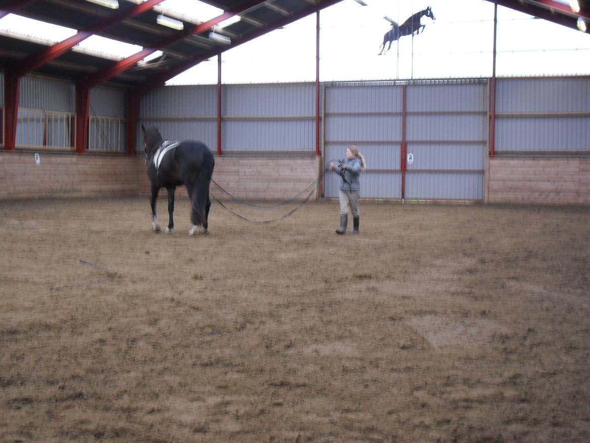 Første gang for køreliner <3 billede 9