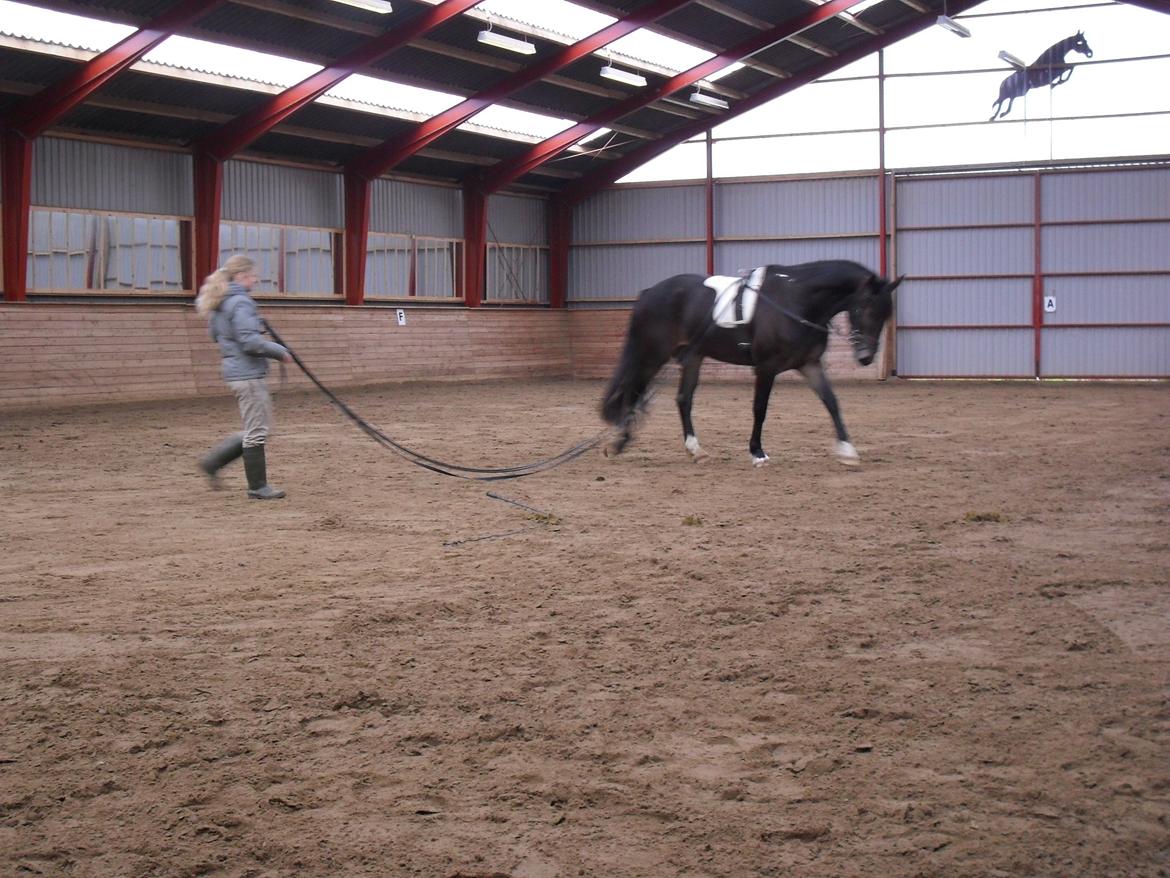 Første gang for køreliner <3 billede 3