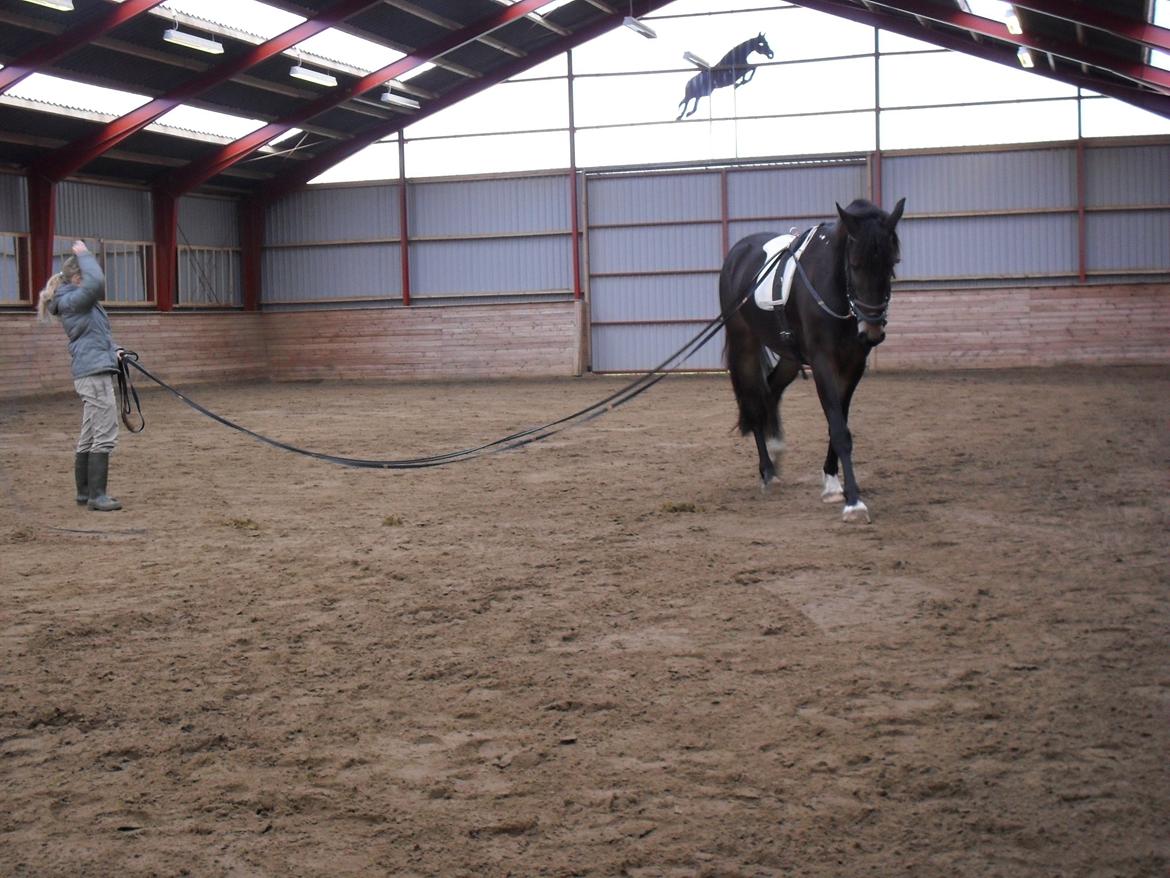 Første gang for køreliner <3 billede 2