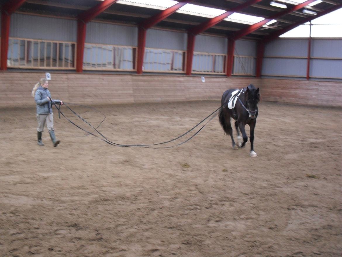 Første gang for køreliner <3 billede 4