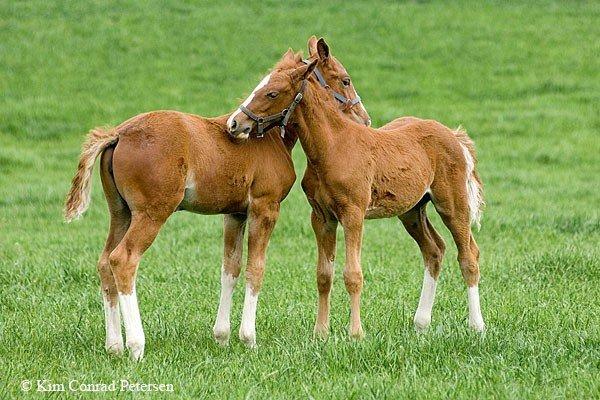 sjove billeder billede 3