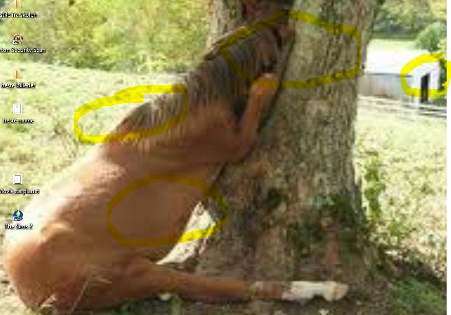 sjove billeder billede 7