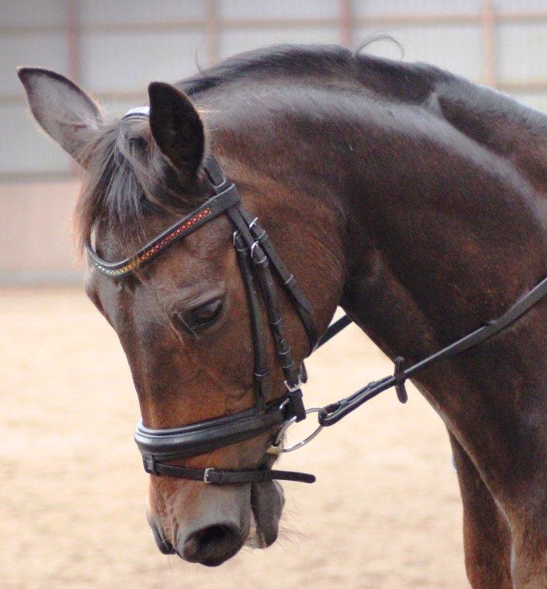 undervisning med Cathrine Dufour billede 13