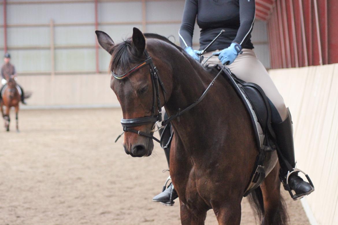 undervisning med Cathrine Dufour billede 14