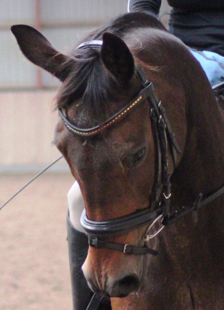 undervisning med Cathrine Dufour billede 18