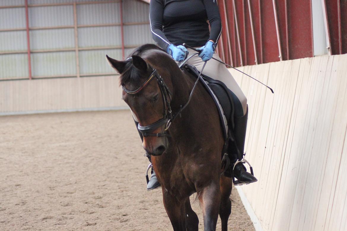 undervisning med Cathrine Dufour billede 22