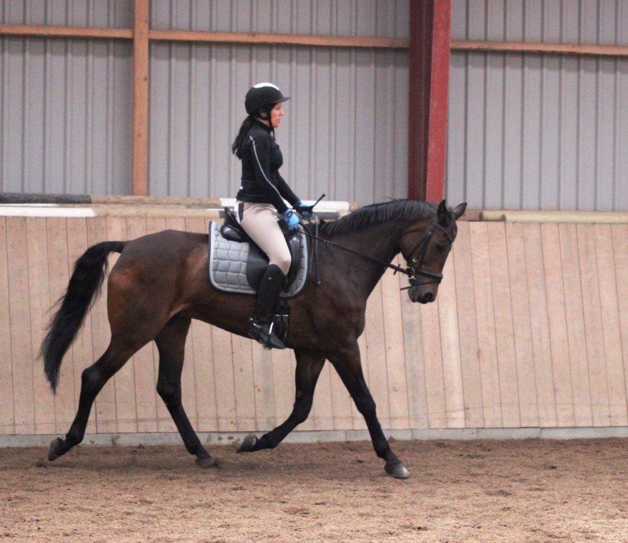 undervisning med Cathrine Dufour billede 26