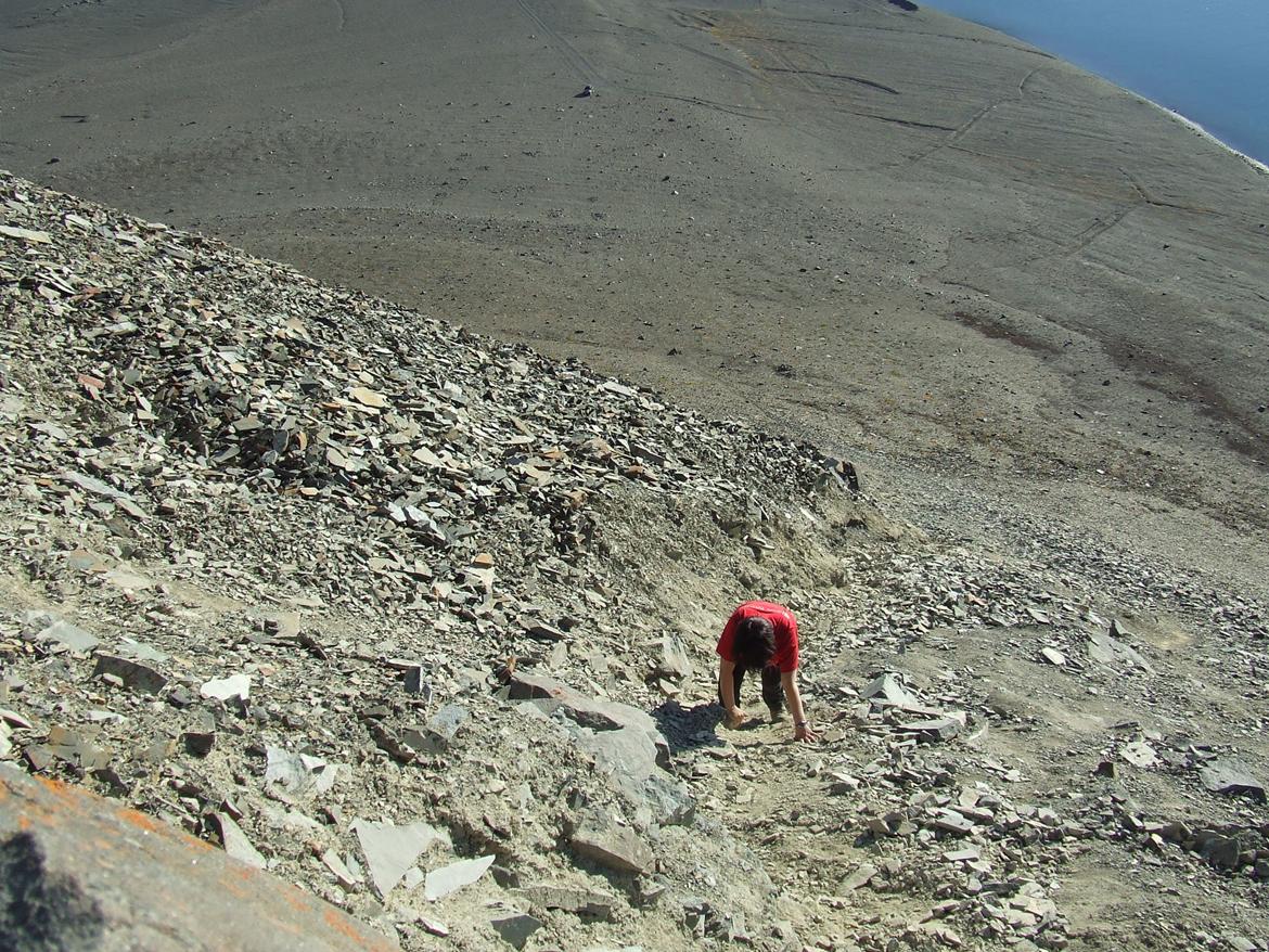 Thule billeder(Grønland) - På vej op af Dundas. Der er rimeligt stejlt, selvom det ikke ser sådan ud. billede 2