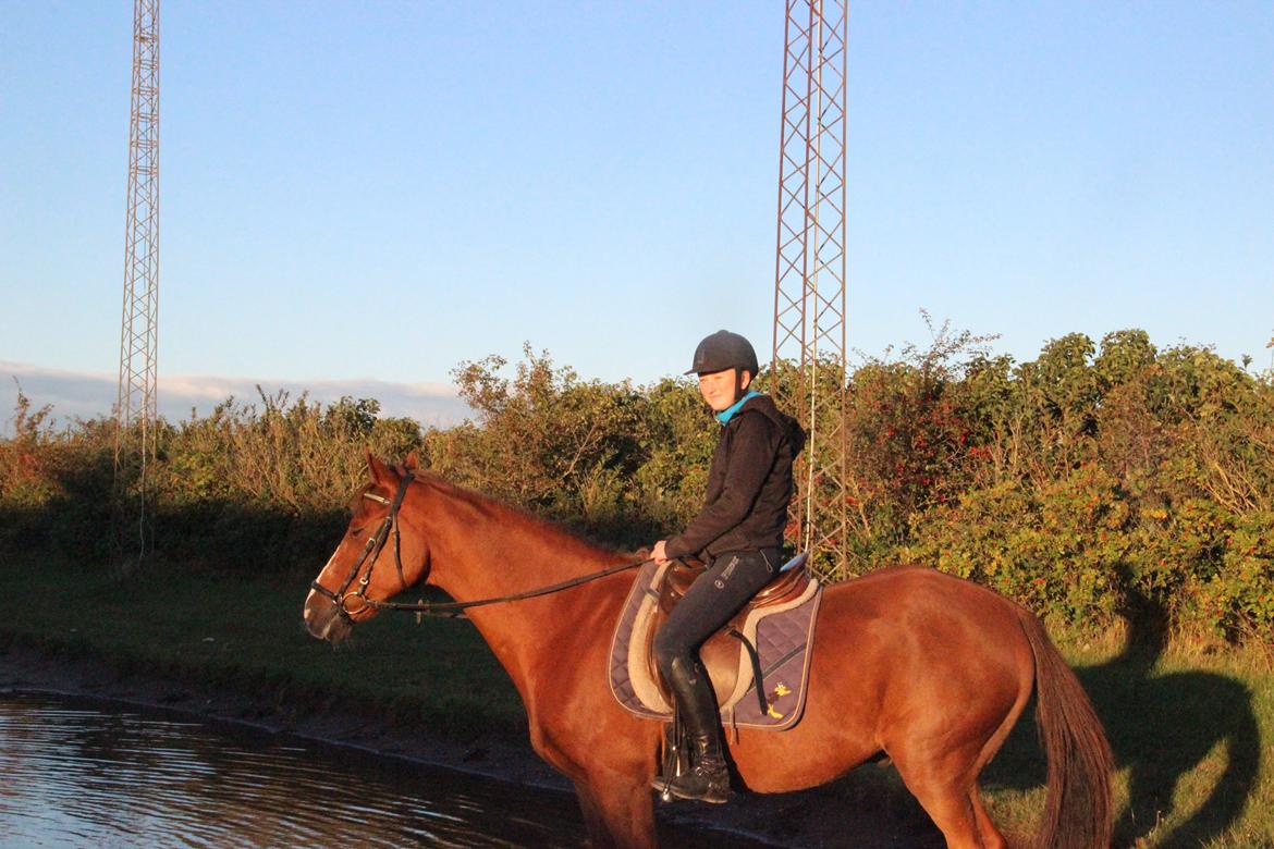 Mette Madsen og Lions billede 23