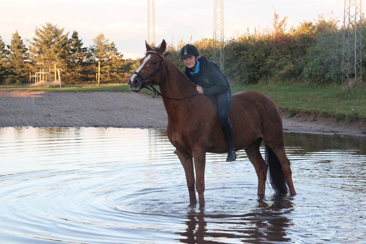 Mette Madsen og Lions billede 27