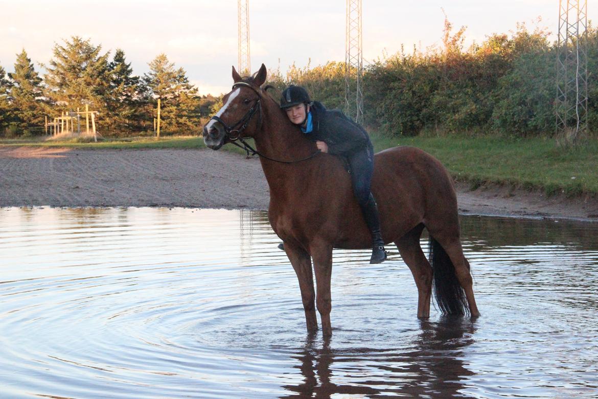 Mette Madsen og Lions billede 28