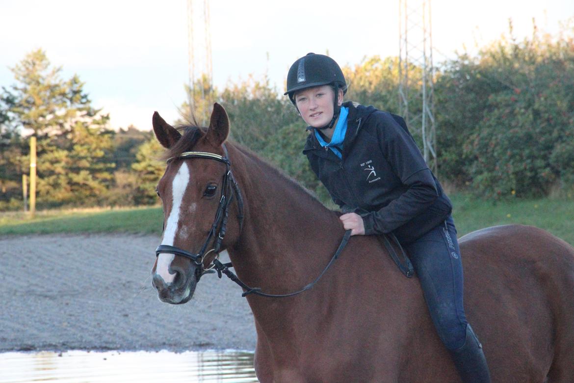 Mette Madsen og Lions billede 29