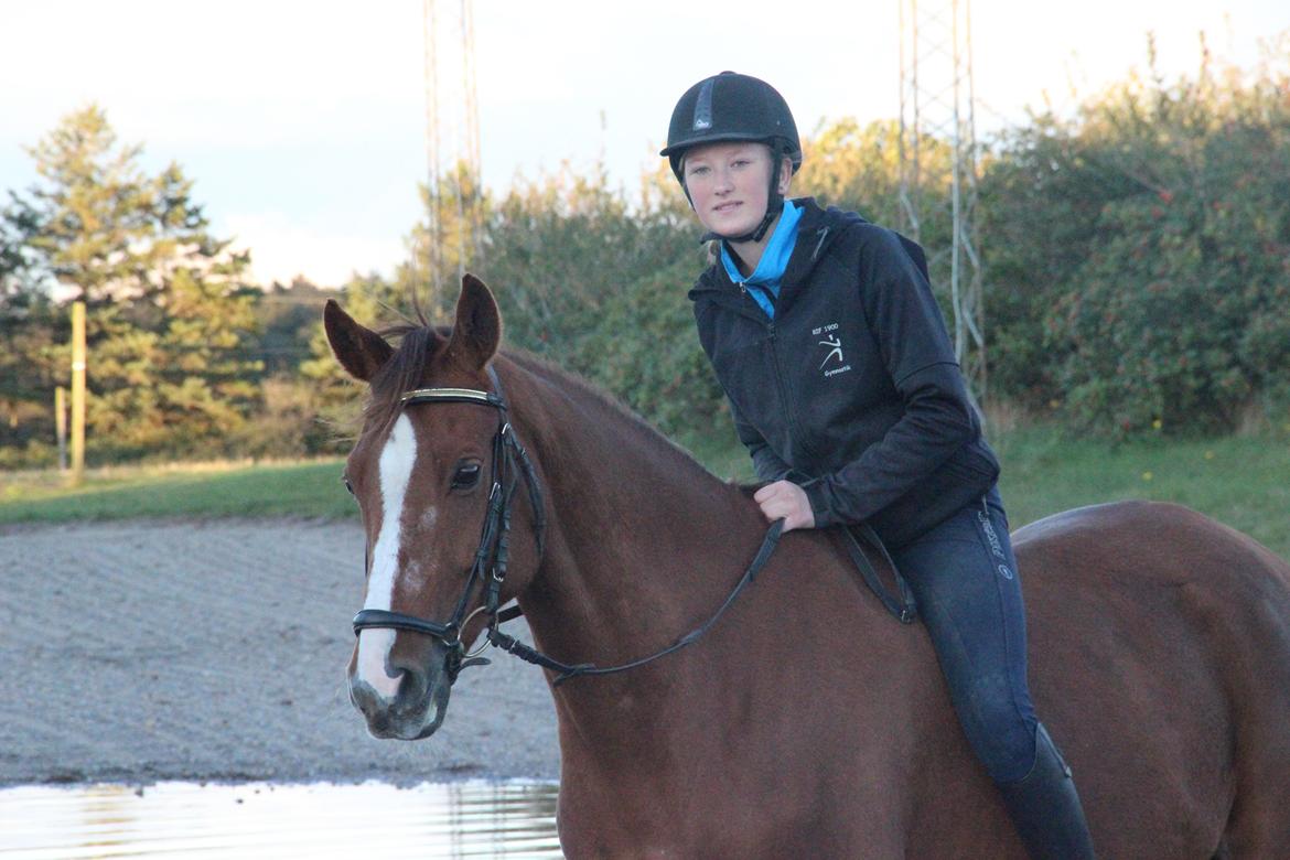 Mette Madsen og Lions billede 30