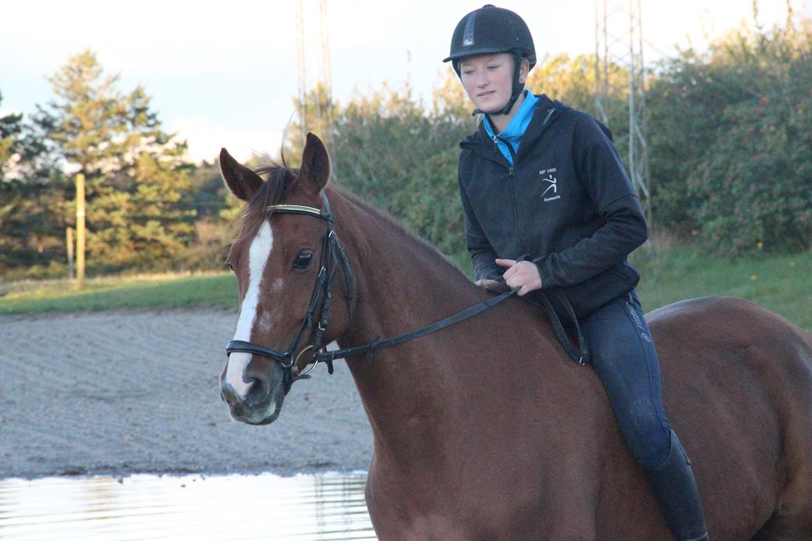 Mette Madsen og Lions billede 31