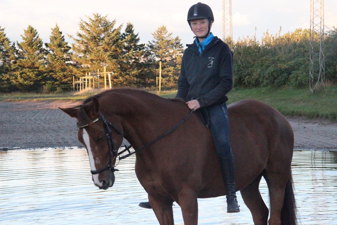 Mette Madsen og Lions billede 32