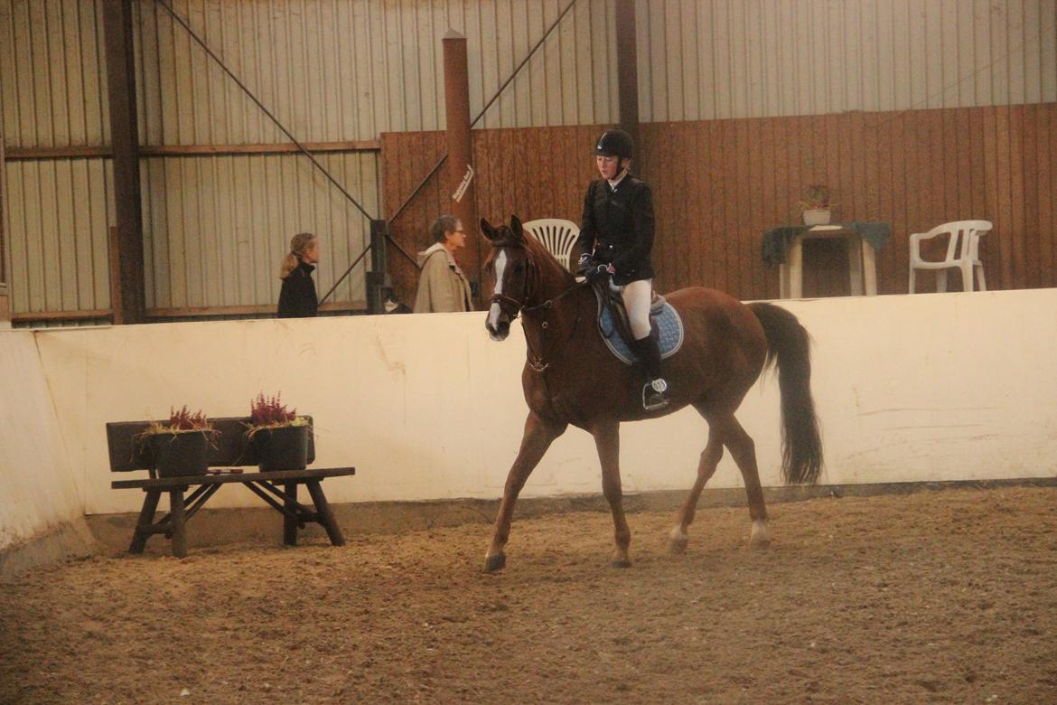 Mette Madsen og Lions billede 38