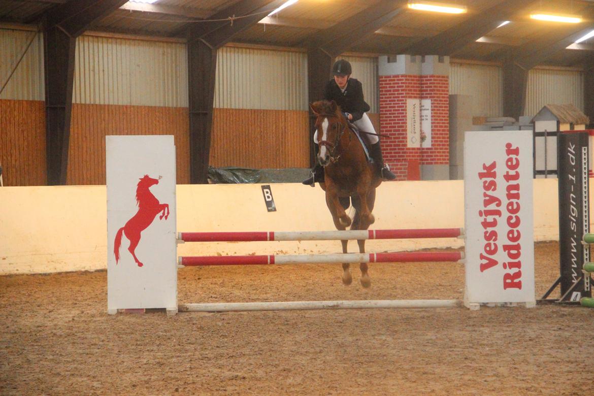 Mette Madsen og Lions billede 43