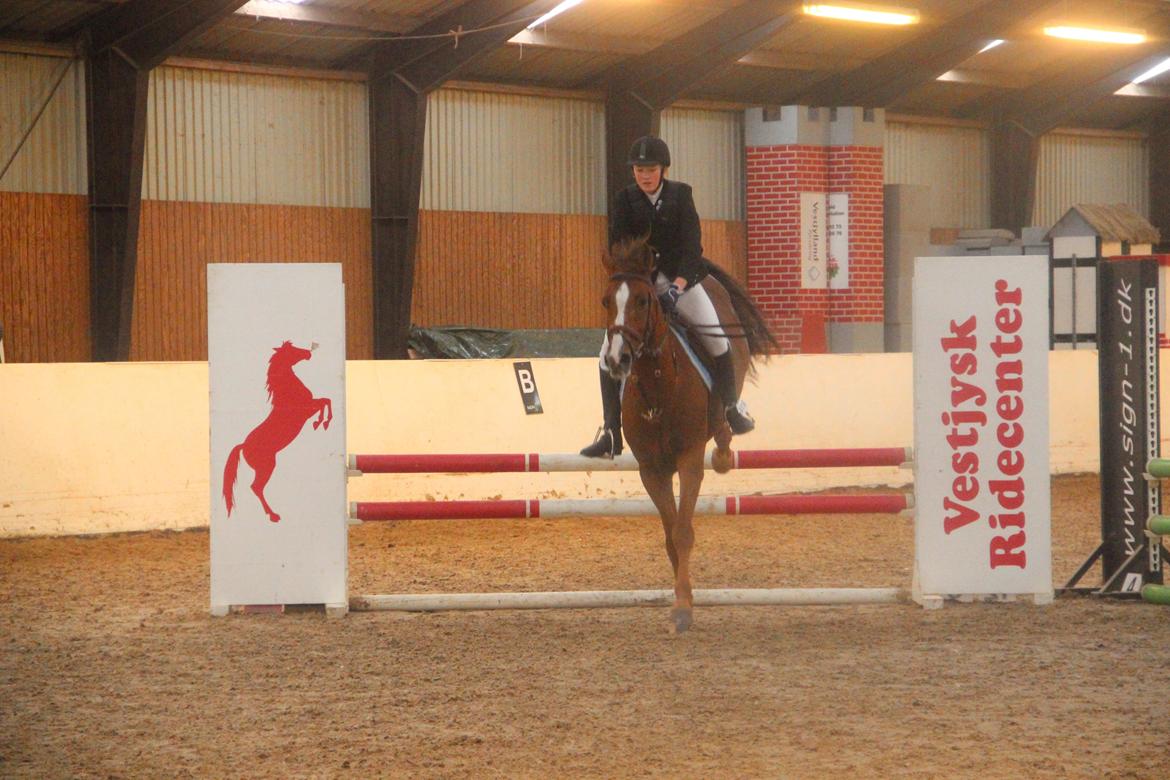 Mette Madsen og Lions billede 44