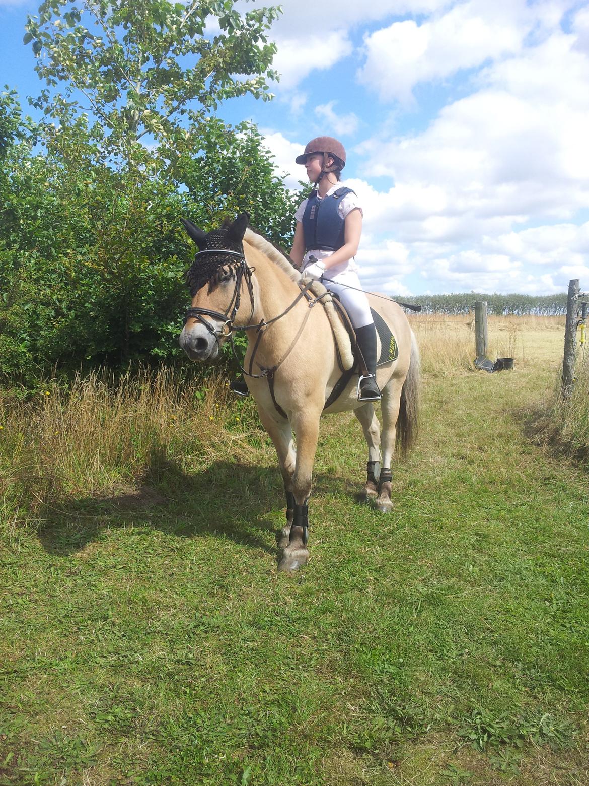 Stævne Stald Skovly billede 4