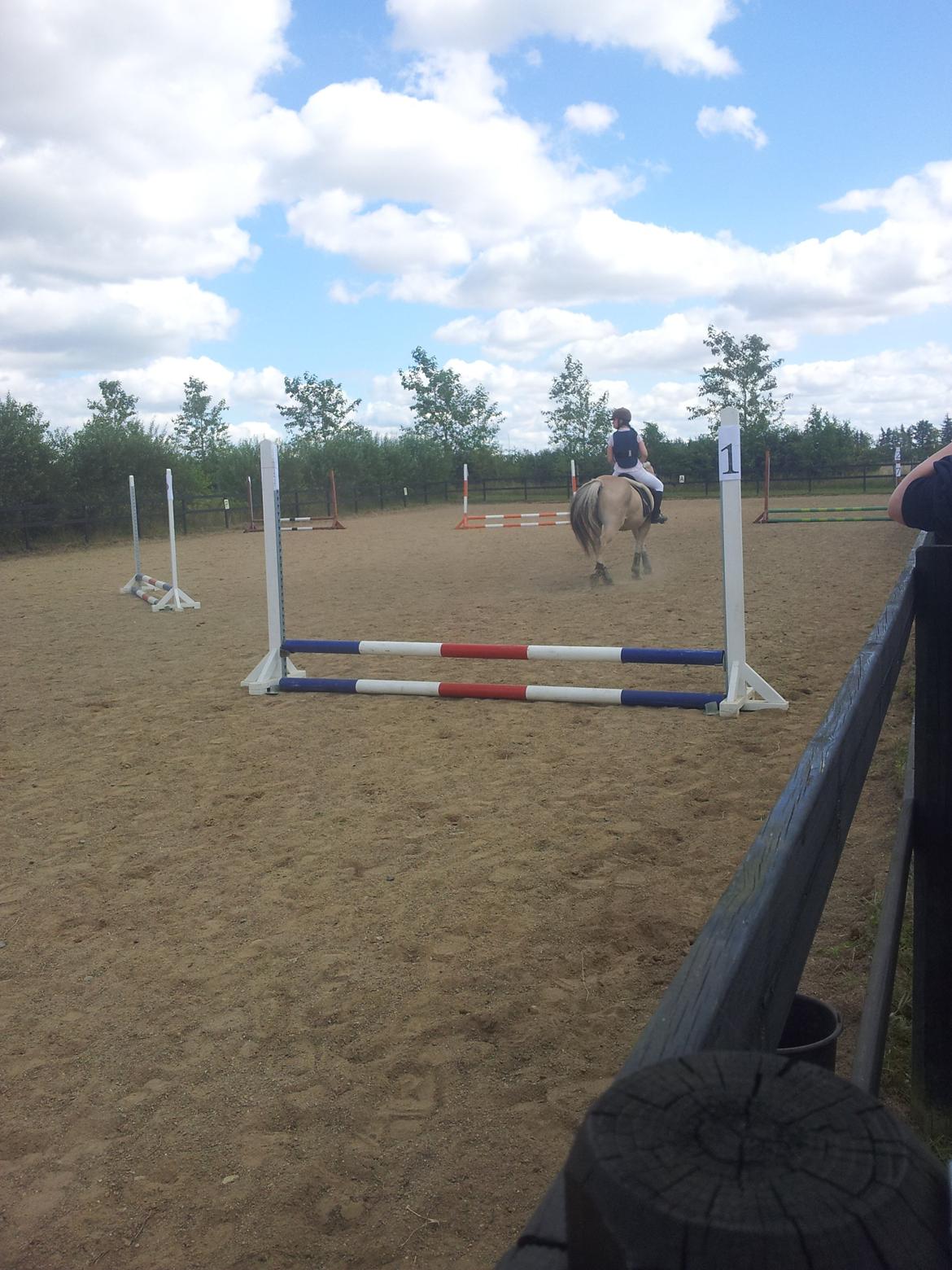 Stævne Stald Skovly billede 5