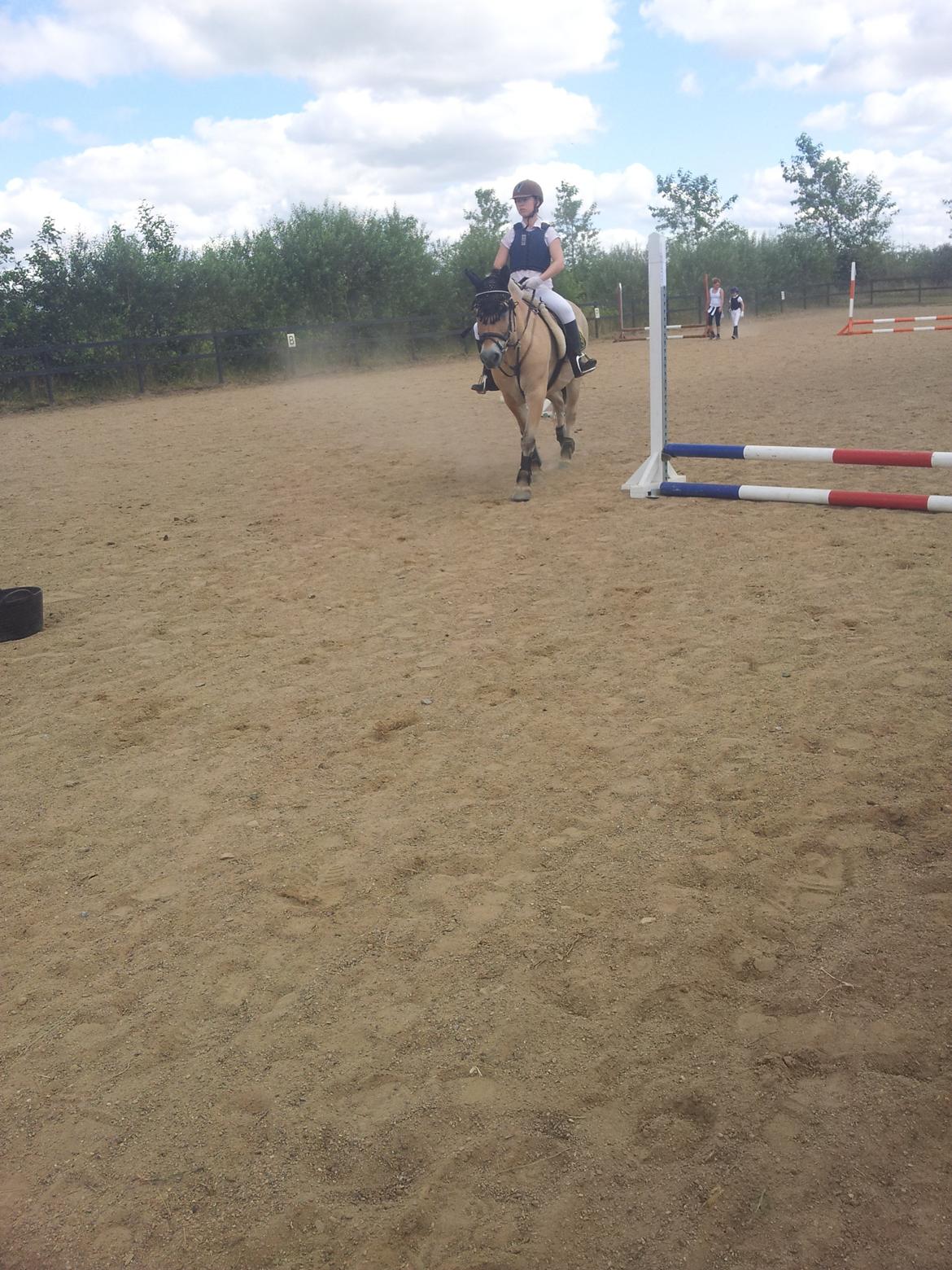 Stævne Stald Skovly billede 6