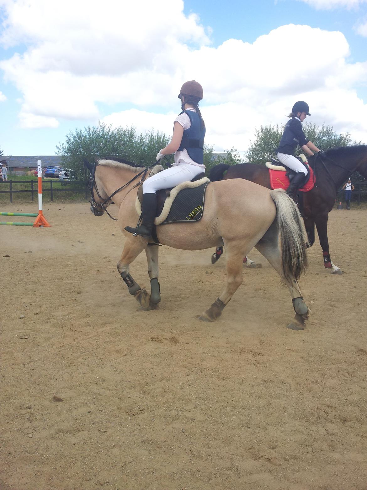 Stævne Stald Skovly billede 7