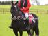 New Forest championat og medaljeridning 2012, Spring - CH Photography