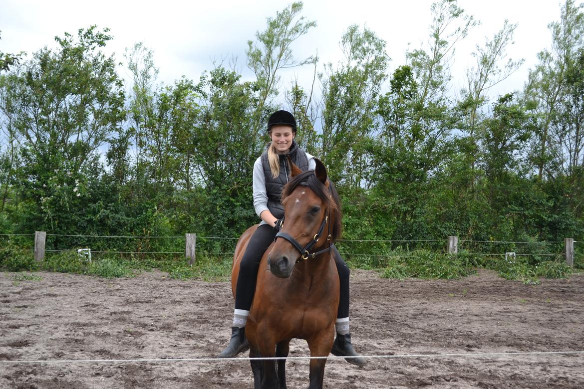 Vores billedebog. - JEG MÅ SKRIDTE/RIDE MIN HEST IGEN! :-D Jeg må begynde at skridte min hest lidt om ugen, for at holde ham igang, på blød bund! Og hvor er det fantastisk! :-D Ufh jeg er glad!! :-D billede 63