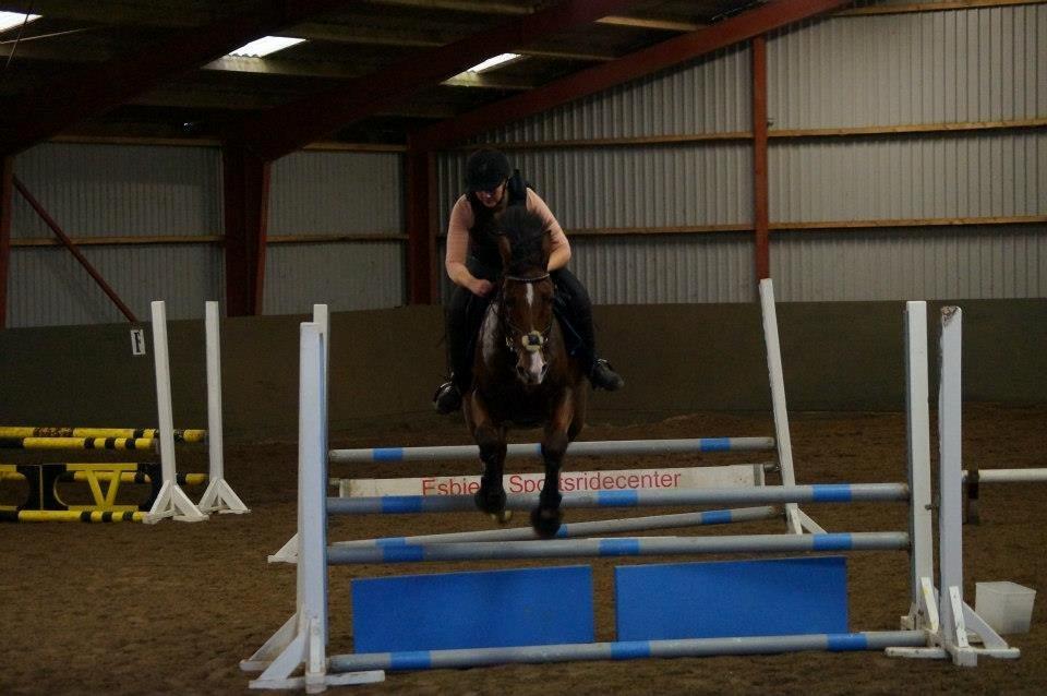 Springkursus v Philip Lóven  billede 1