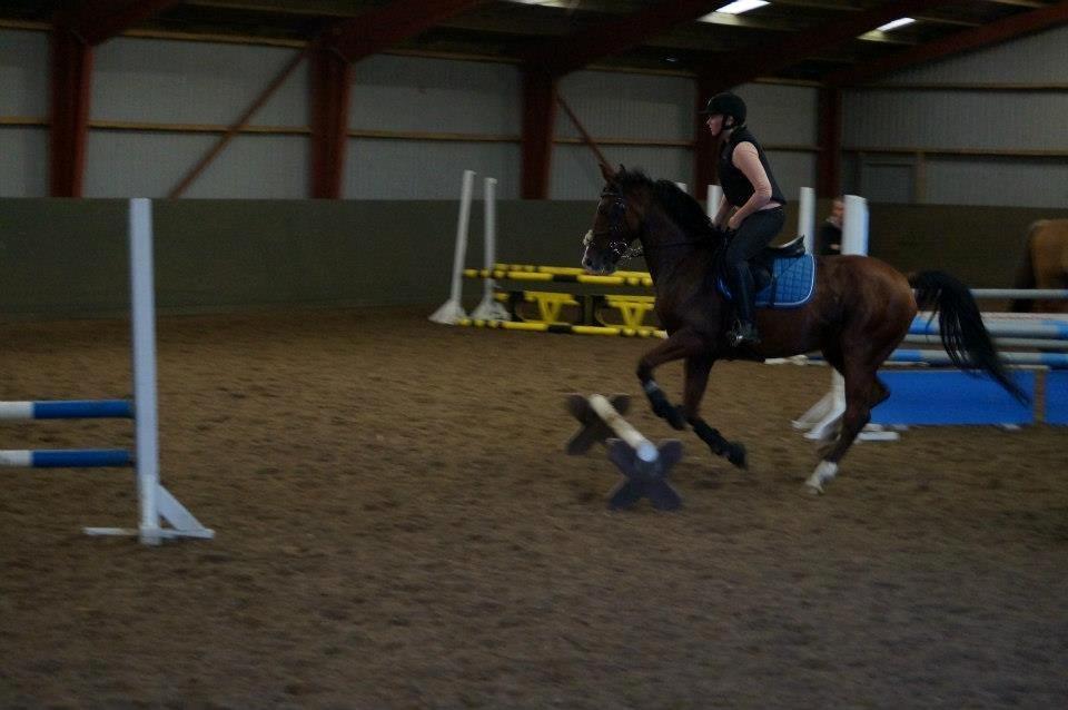 Springkursus v Philip Lóven  billede 2