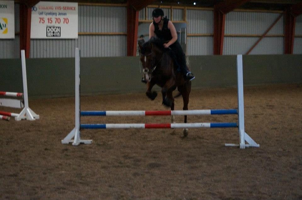 Springkursus v Philip Lóven  billede 3