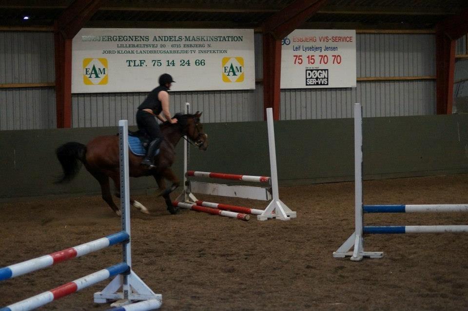 Springkursus v Philip Lóven  billede 5