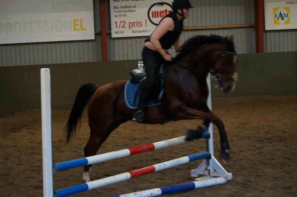 Springkursus v Philip Lóven  billede 8