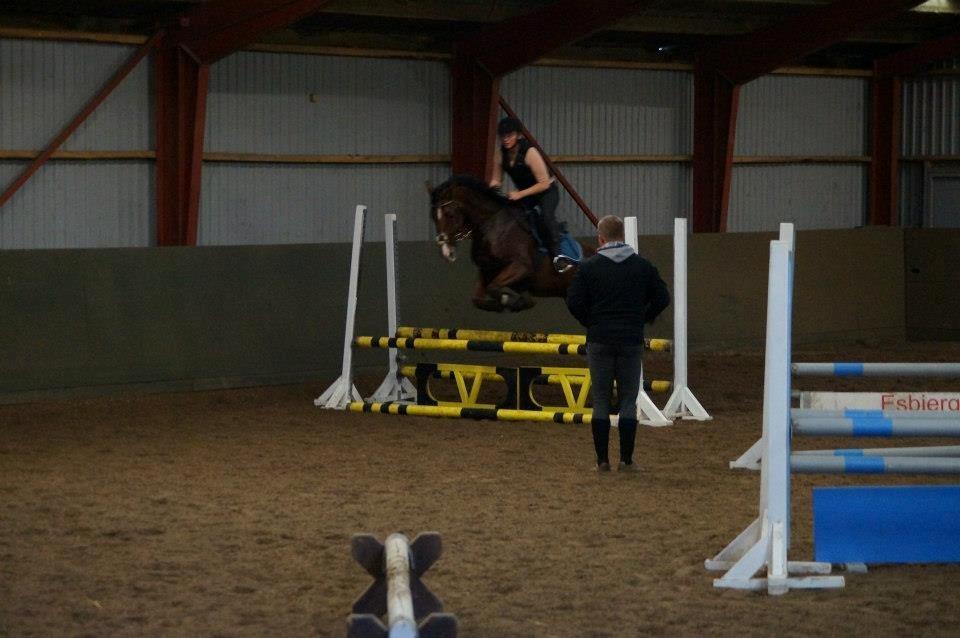 Springkursus v Philip Lóven  billede 9