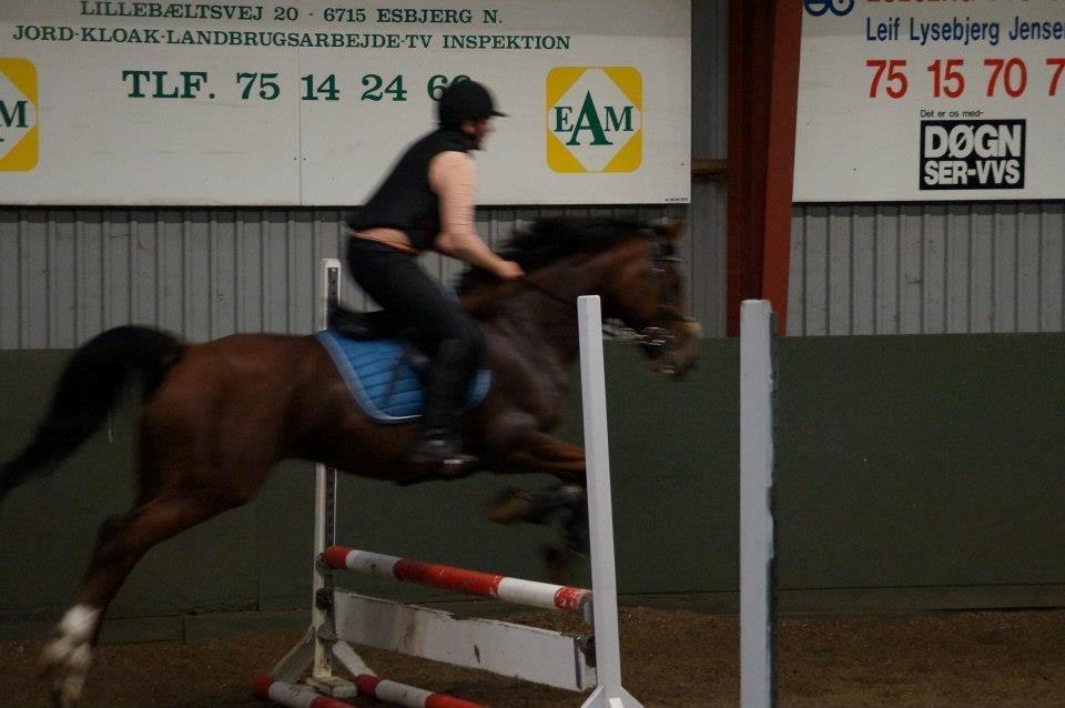 Springkursus v Philip Lóven  billede 10