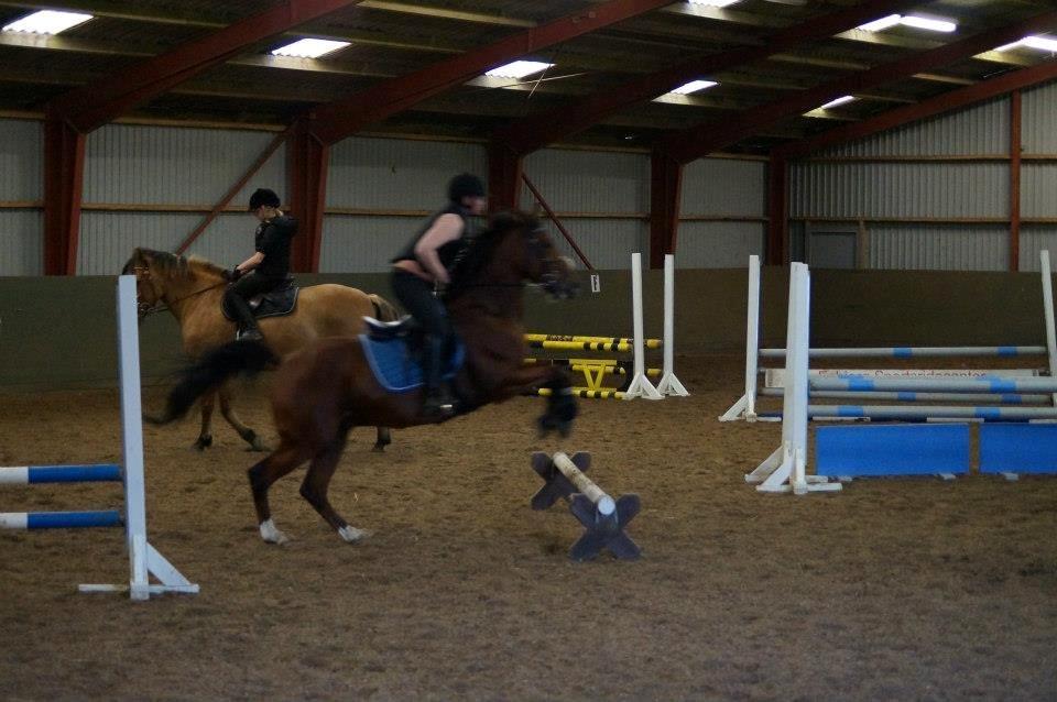 Springkursus v Philip Lóven  billede 11