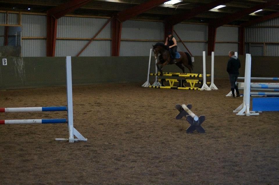 Springkursus v Philip Lóven  billede 14